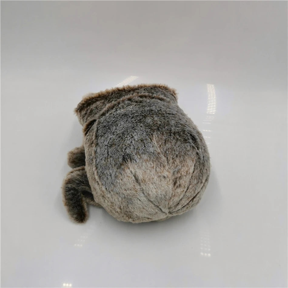 Lucas the Spider stuffed toy