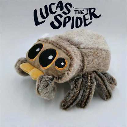 Plush toy spider with 'Lucas the Spider' text above on a white background