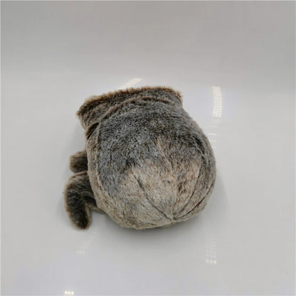 Lucas the Spider stuffed toy
