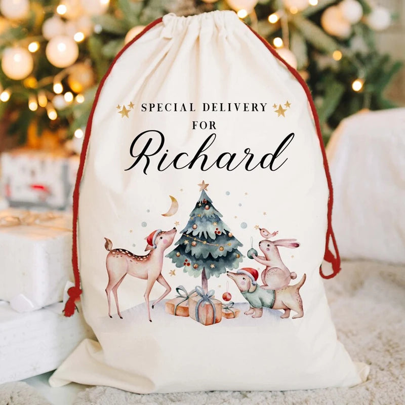 Nutcracker Ballerina Reindeer Gift Bag for Kids