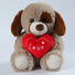 25CM Valentine's Bear Dog Plush Toy