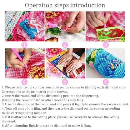 Step-by-step guide to diamond painting with images and text instructions.